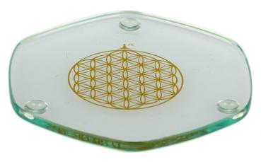 Golden Voyagerplatte im Beutel Ø 9 cm