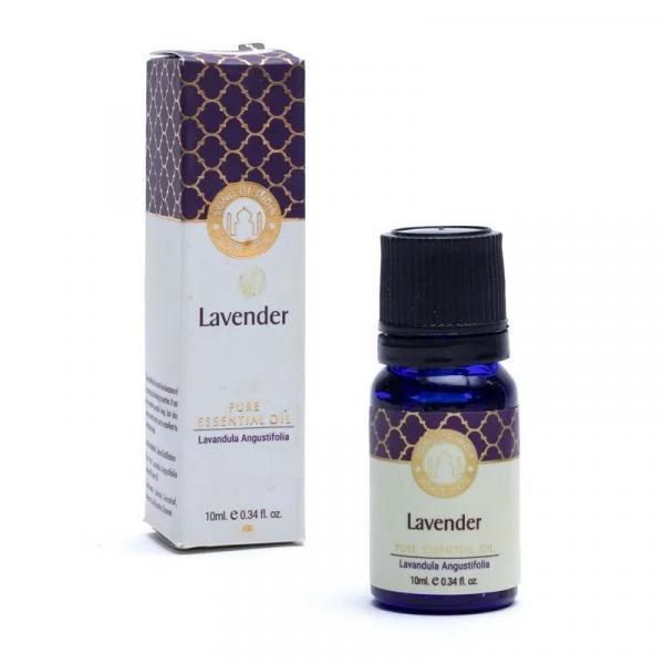Lavendel - Ätherisches Öl - Song of India
