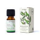 Eukalyptus - Ätherisches Öl therapeutischer Grad - Aromafume
