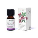 Geranie - Ätherisches Öl therapeutischer Grad - Aromafume